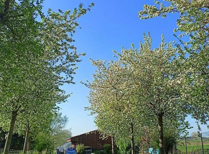 Maison d'hôtes Les D'hôtes Du Galant  L'allée Des Champs 3*