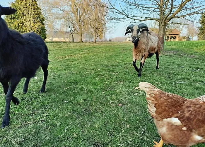 Les D'hôtes Du Galant  L'allée Des Champs 3*